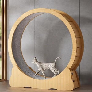 디작소 애견 고양이 운동훈련 우드 캣휠A(XL) (41297449)