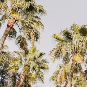 핀카 세레나, 스몰 럭셔리 호텔스 / 플라 데 마요르카 호텔