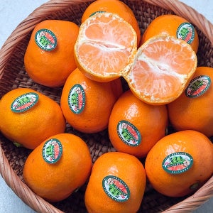 달달새콤한 맛으로 남녀노소 누구나 좋아하는 불로초감귤 1.5kg(선물용)