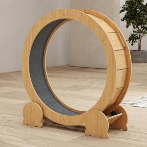 디작소 애견 용품 고양이 운동훈련 헬스 캣휠C (41297419)