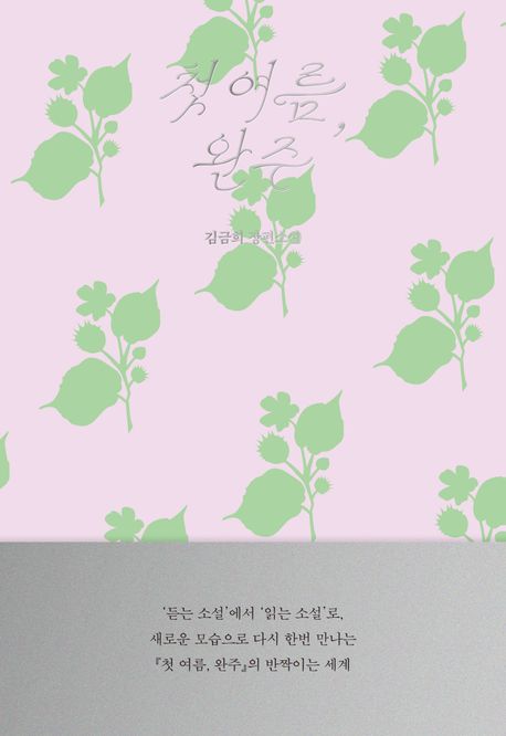 첫 여름, 완주(읽는 소설)