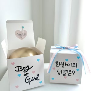 젠더리빌 풍선 미니팝핀젠더리빌 베이비샤워 아기성별공개, 오니리크벌룬