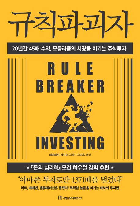 규칙파괴자 : 20년간 45배 수익, 모틀리풀의 시장을 이기는 주식투자 표지