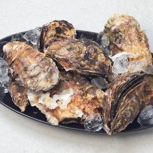 탱글탱글한 식감과 은은한 단맛이 매력적인 석화 10kg