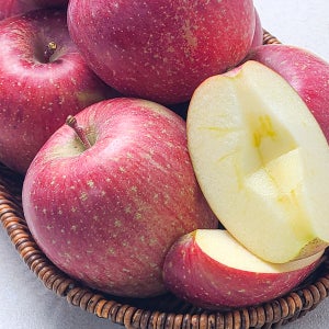단 맛이 진한 강원도 양구 사과 5kg 꼬마(21~24과)