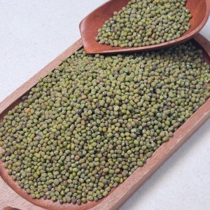 은은한 고소함이 살아있는 신선한 통 녹두 콩 500g 1팩