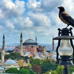 [하나투어] 골든타임 공식인증전용 출발확정 그리스 일주 10일 산토리니2박 원데이 크루즈 메테오라 산토리니 아테네 자유일정 국내선1회 베르기나 이오안니나 아테네시내호텔2박
