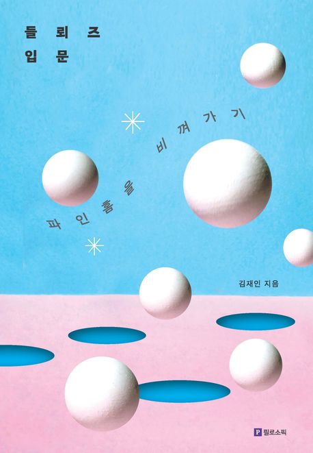 들뢰즈 입문 : 파인 홈을 비껴가기