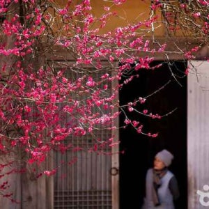 평창/강릉 1일 #발왕산케이블카 #강릉중앙시장 #안목해변 #소돌아들바위공원
