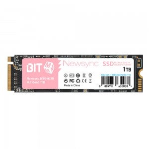 비트엠 Newsync BITS M.2 NVMe (1TB)