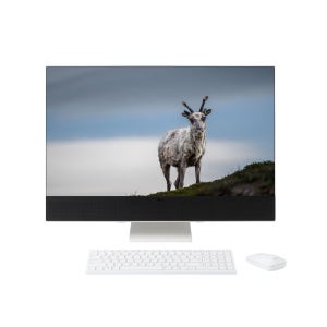 LG전자 일체형 PC 27V70T-GR50K