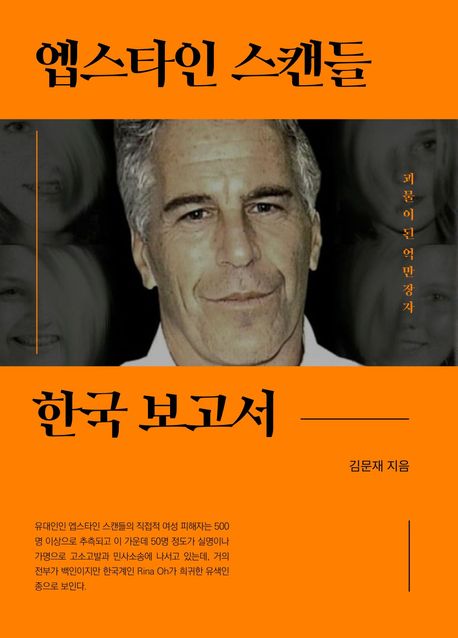 엡스타인 스캔들 : 한국 보고서