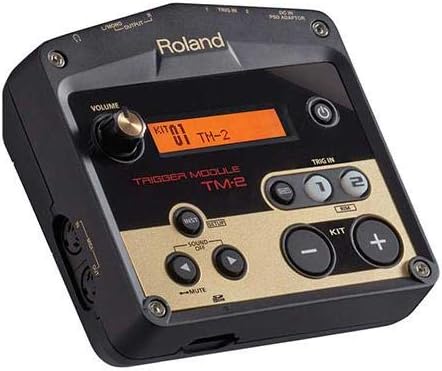 Roland 롤랜드 TM-2 어쿠스틱 드럼 트리거 모듈 2 inputs