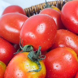 GAP 인증받은 달콤한 대추방울토마토 5kg (1-3번 로열과) 5kg