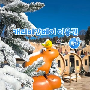 캐리비안베이 [슈퍼트립] 용인 캐리비안베이 종일권&콤비권 단독특가 프로모션, 이용기간 최대 1월 31일까지, 주중&주말 공통