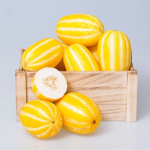 달달한 가정용 성주 참외 5kg 랜덤과