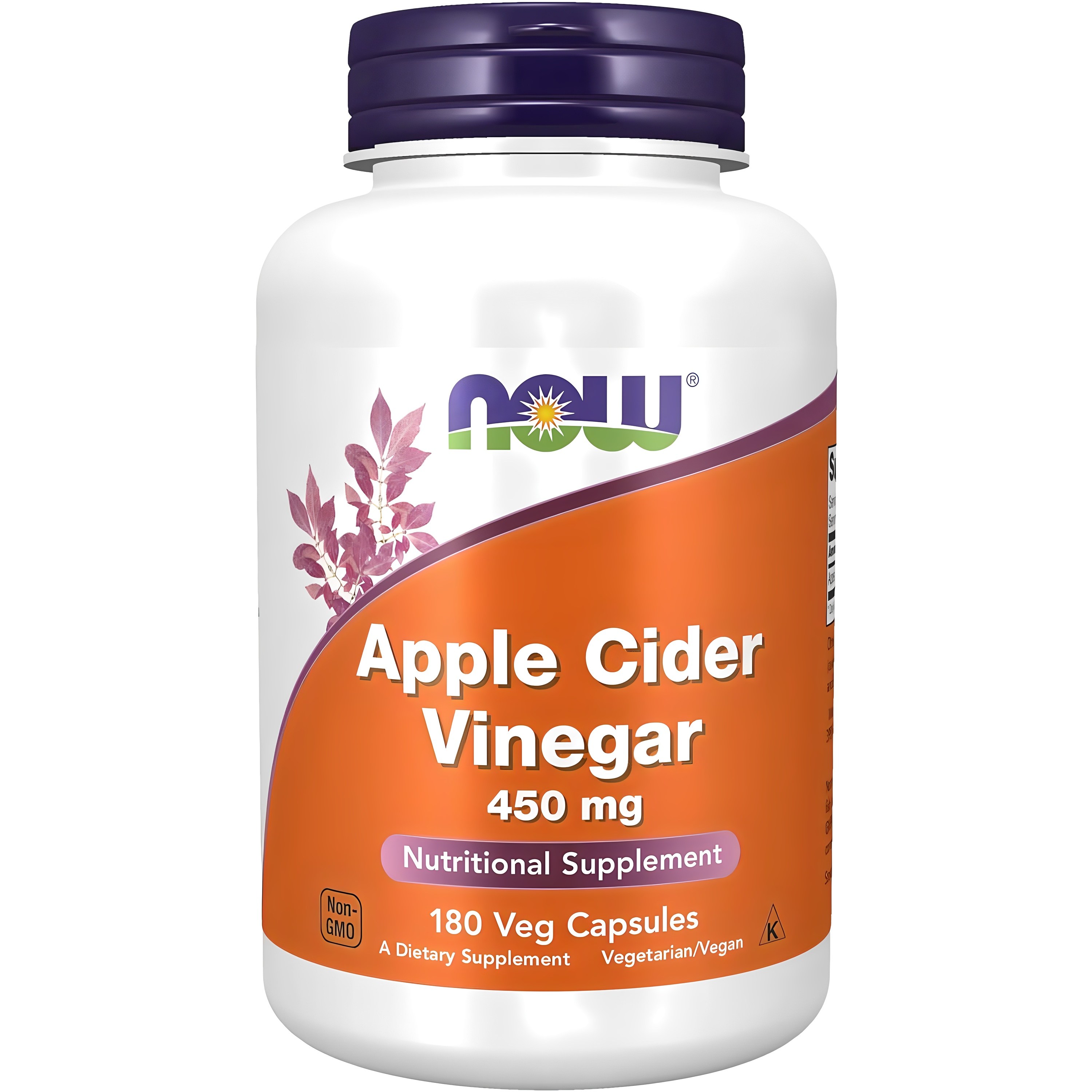 Now Foods 애플 사이다 비니거 450mg 캡슐 180정 1개