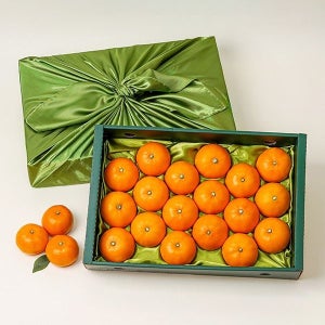 [롯데백화점] 자연맛남 제주 천혜향 4.6kg 대과(18과내외) 과일선물세트 [보자기포장] LE1215963209