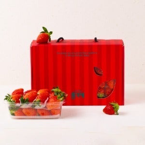 프리미엄 금실딸기 선물세트 1kg (500g 2팩 / 특품)