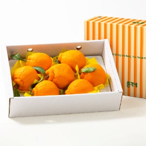 제수용 프리미엄 한라봉 선물세트 3kg (7 - 10수 / 특품)