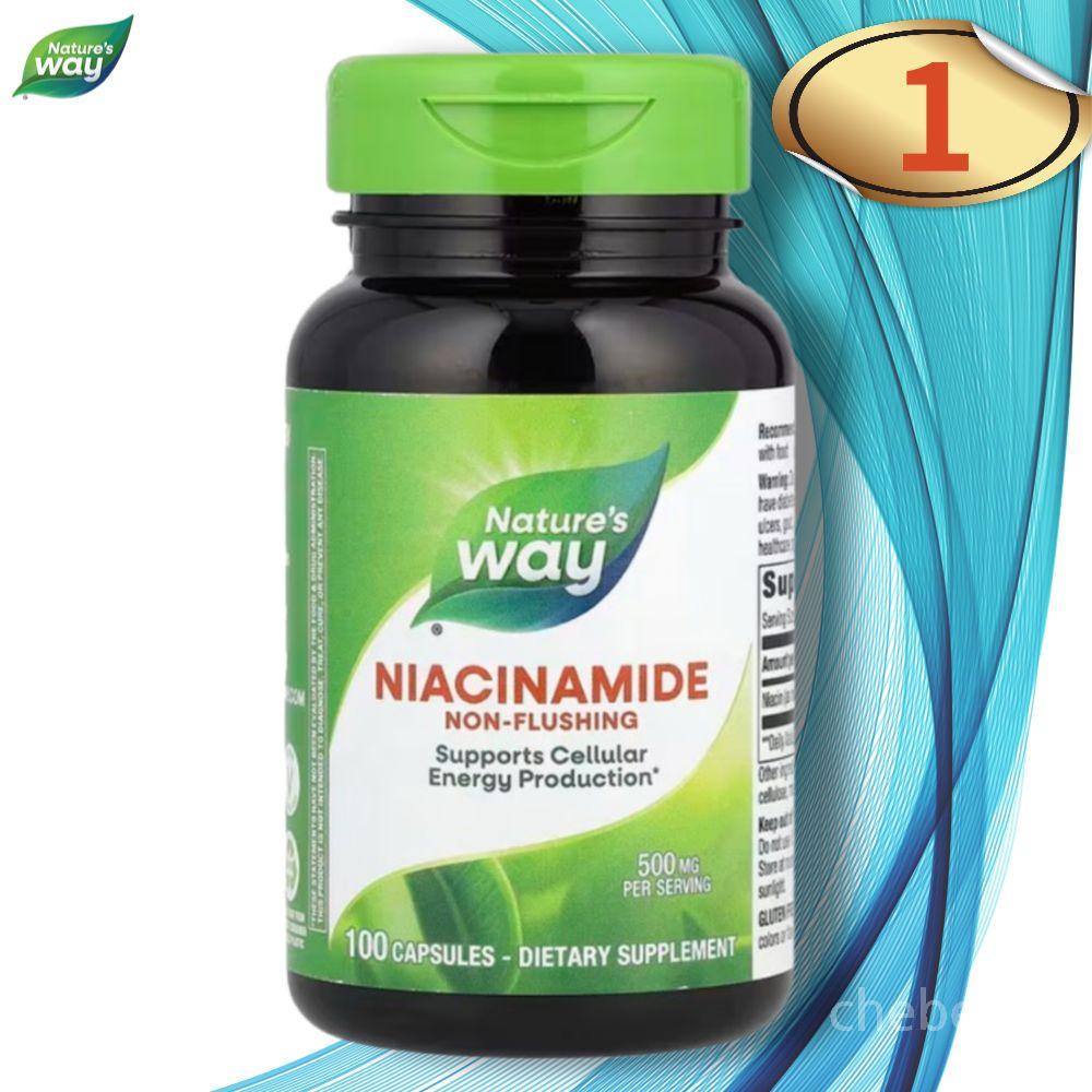 네이쳐스웨이 <b>홍조</b> 없는 나이아신 니아신 아마이드 500mg 100캡슐 1병 Niacin  1개  100정