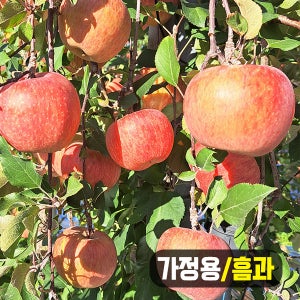 바른팜스 가정용 경북 사과 2kg 중대과 6-7과 흠과 부사
