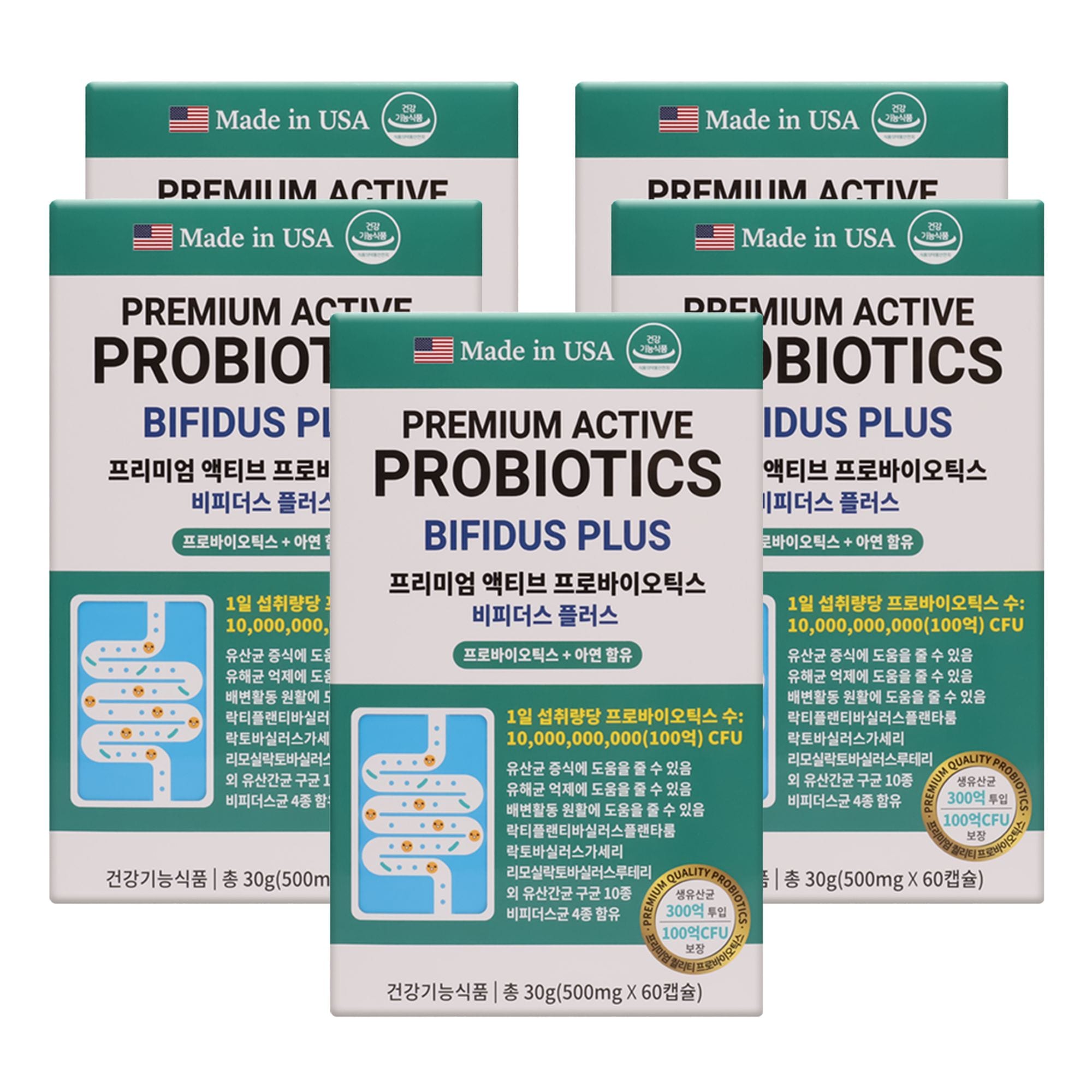 프리미엄 액티브 프로바이오틱스 비피더스 플러스