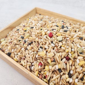 유기농 귀리혼합 10곡 800g