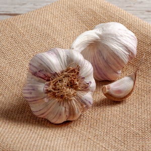 황토밭에서 자란 서산 통마늘 정품 1kg 대서마늘