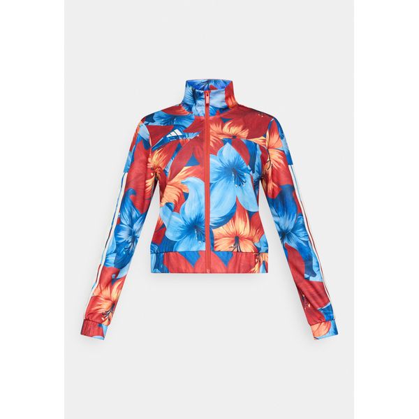 아디다스 봄버 LIGHT BLUE TACTILE RED CREAM WHITE MULTI COLOURED 여성 ADQ41G04O T11