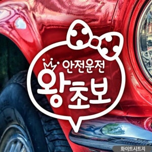 오너클랜 안전운전 왕초보(왕관) 초보자동차스티커-화이트