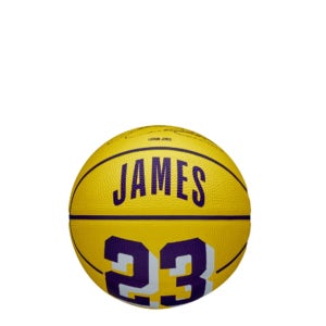 윌슨 NBA PLAYER ICON 미니 농구공 B1 W26010IKI012