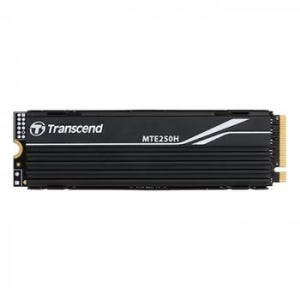 트랜센드 MTE250H M.2 NVMe (4TB)