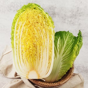 해남 황토밭에서 자란 베타 항암 미니 배추 2.5kg(3-4포기 내외)