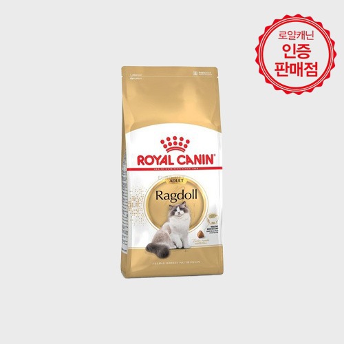 Ragdoll Cat (랙돌 고양이)