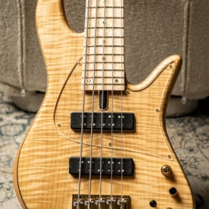 Fodera Emperor 5 Standard Special LTD-Myrtle Figured Top w/Birdseye Maple Fingerboard & Trans Pickgu