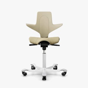 HAG Capisco 8020 친환경디자인체어