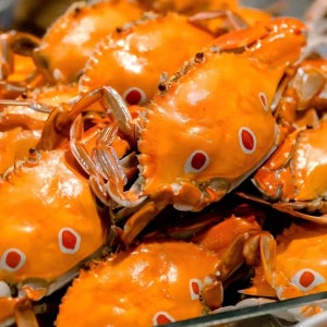 [스타 퓌 레스토랑·금요일 토요일 뷔페 할인] 심천 심철군 퓌 호텔 Genpla Hotel - 뷔페 식권 | 뷔페 석식 | 뷔페 훠궈