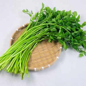 향긋한 무농약 청도 한재 미나리 500g 1봉