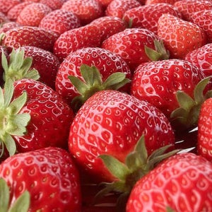 갓수확해서 신선하고 달콤한 하우스 설향 딸기