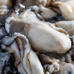 [밋앤밀] 고흥 산지직송 생굴 2kg