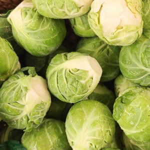 산지 직송 신선한 제주 방울 양배추 500g 2팩