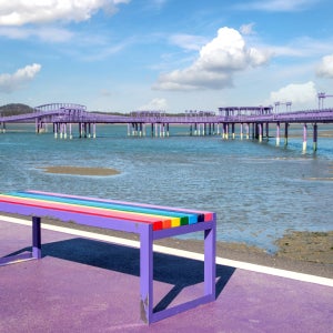 신안 퍼플섬 비금도 1박2일 국내 기차여행 패키지 [전라남도/전남]