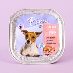 플레이저 독 습식사료 연어&야채 100g