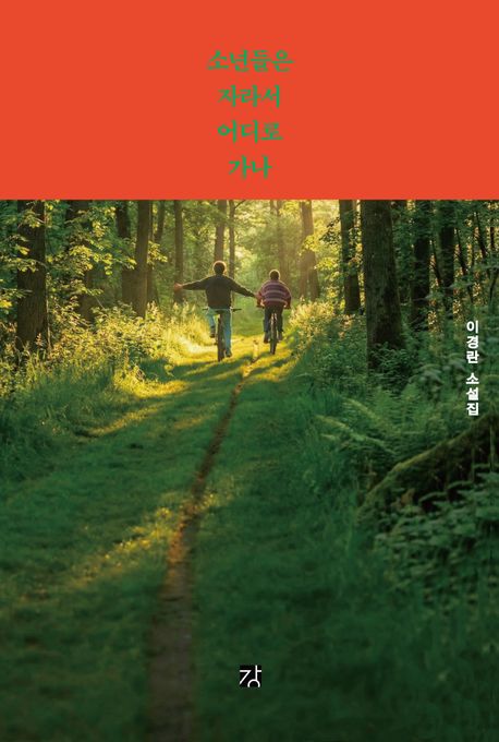 소년들은 자라서 어디로 가나  : 이경란 소설집