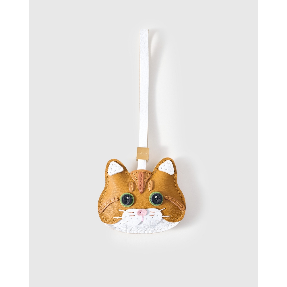 브리티시 숏헤어 (British Shorthair Cat)