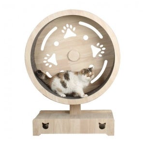 고래실 몸짱 냥이 DIY 캣휠 (D) (중)