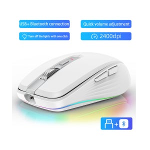 HXSJ M303 2.4G 듀얼 모드 인체 공학적 경량 RGB 백라이트 6 버튼 700mAh 무선 USB 마우스, 사무용 게임용 도매 노트북