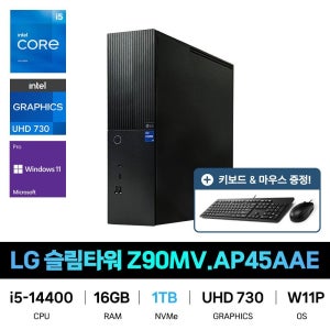 LG전자 IT_LG전자 슬림타워 데스크탑 Z90MV.AA45BBE SSD 2TB교체 재고보유