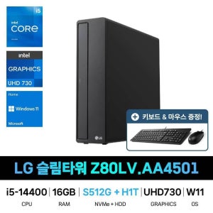 LG전자 IT_LG전자 슬림타워 데스크탑 Z80LV.AA4501 HDD 1TB추가 재고보유